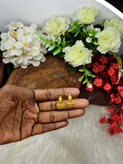 Earring for daily wear