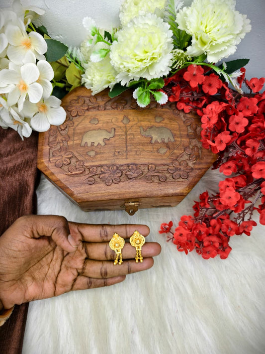 Earring for daily wear