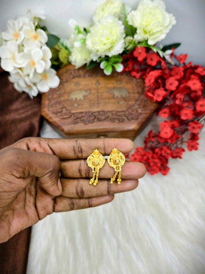 Earring for daily wear